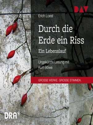 cover image of Durch die Erde ein Riss--Ein Lebenslauf